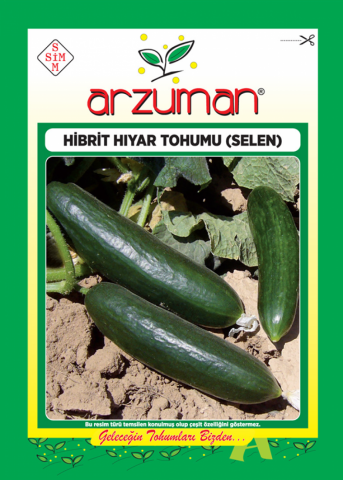 OTURAK SALATALIK TOHUMU SLN F1 100 AD TOHUM