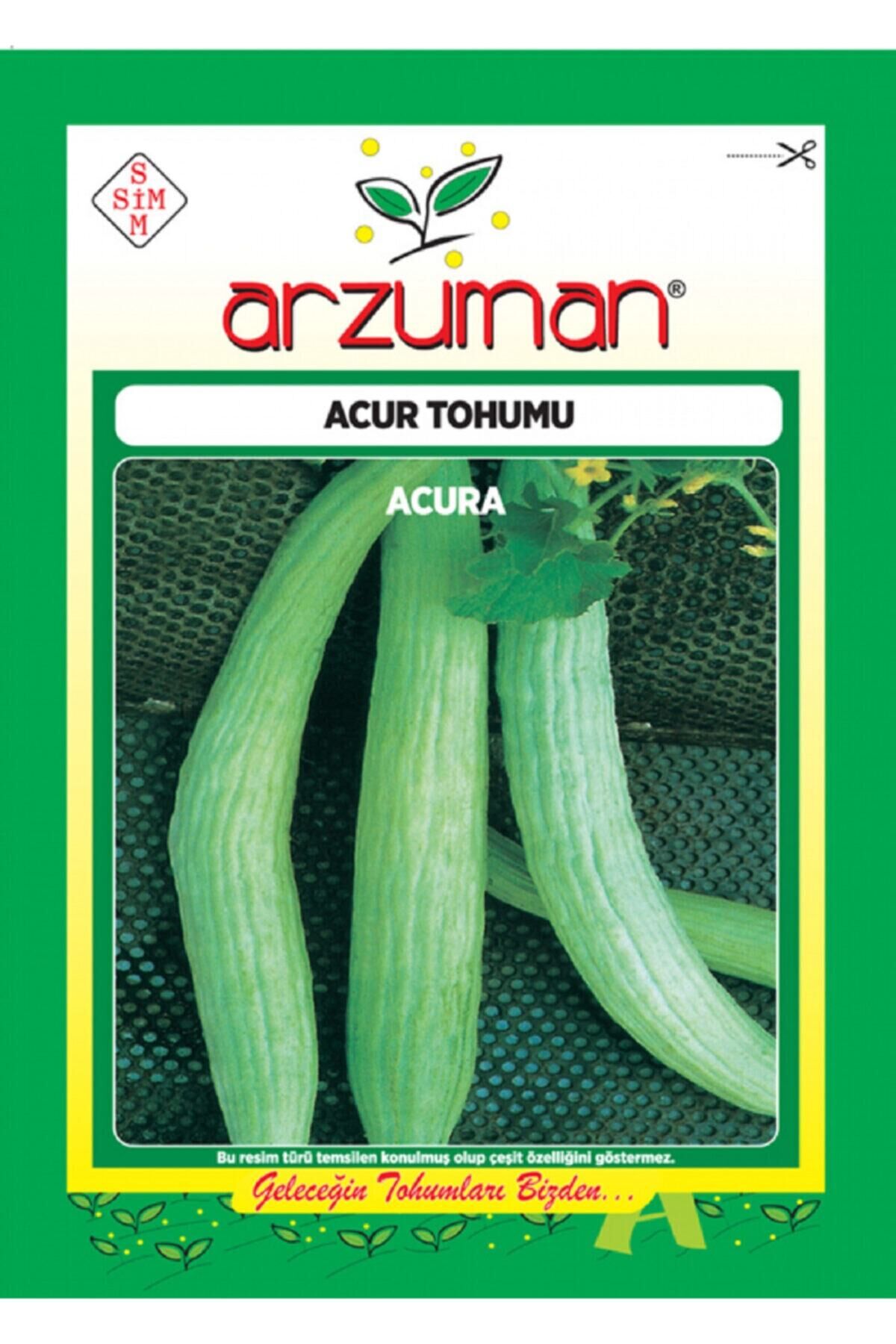 Karahasanoğlu Tarım Acur Tohumu 10 Gr Ort 300 Ad Tohum