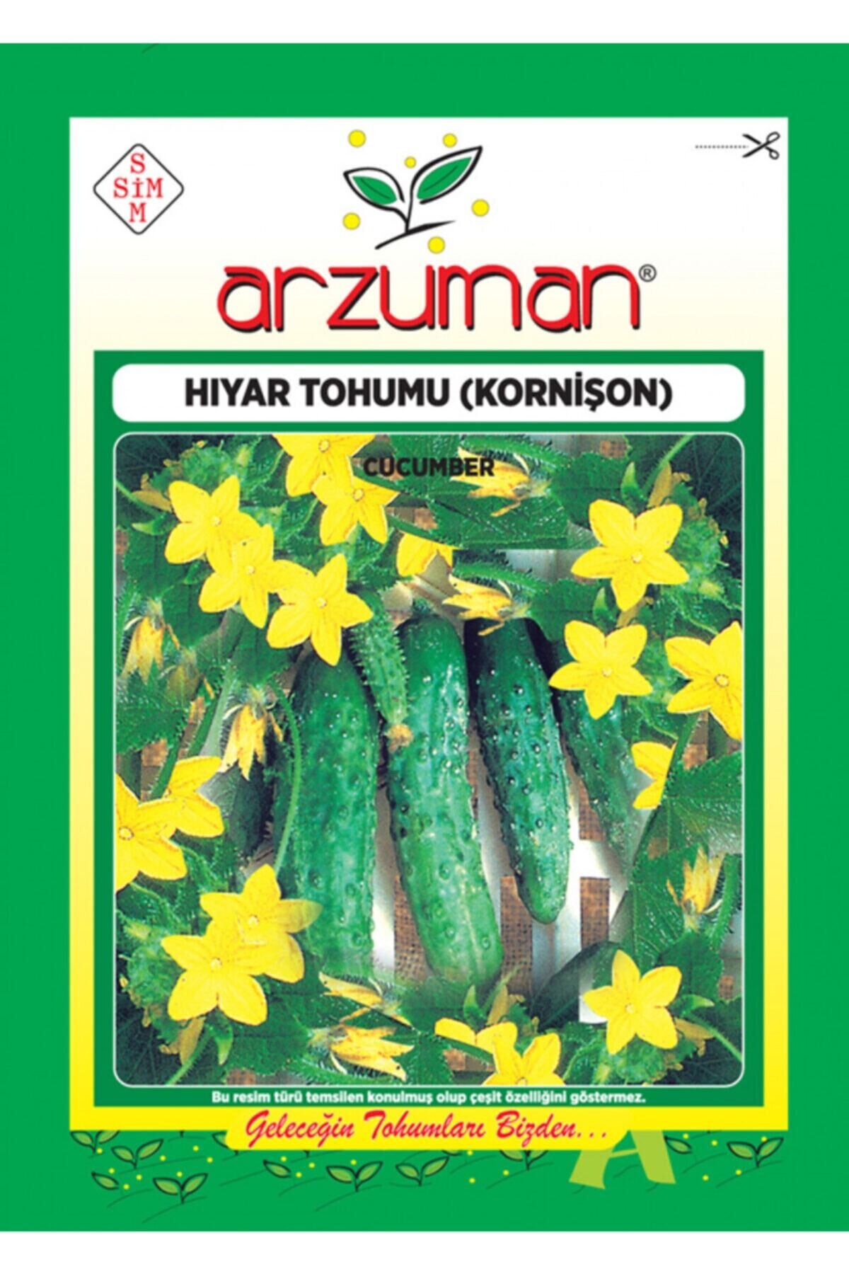 Karahasanoğlu Tarım Kornişon Salatalık Tohumu 100 Ad Tohum
