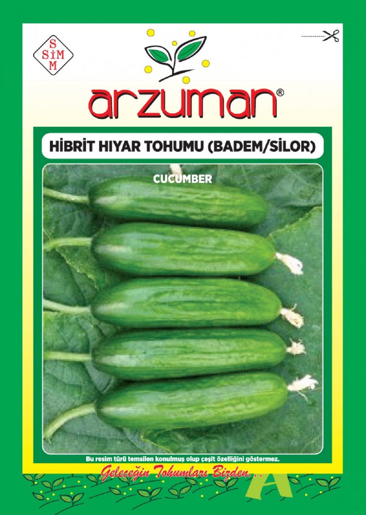 SİLOR-BADEM F1 OTURAK SALATALIK TOHUMU 10 AD TOHUM