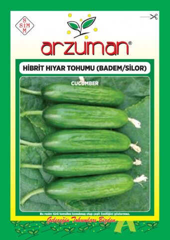 SİLOR-BADEM F1 OTURAK SALATALIK TOHUMU 10 AD TOHUM