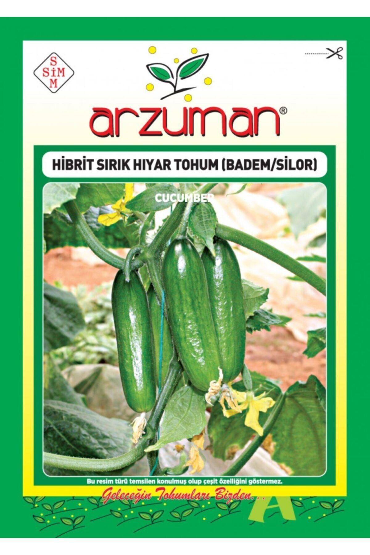 Karahasanoğlu Tarım Silor-badem F1 Sırık Salatalık Tohumu 10 Ad Tohum