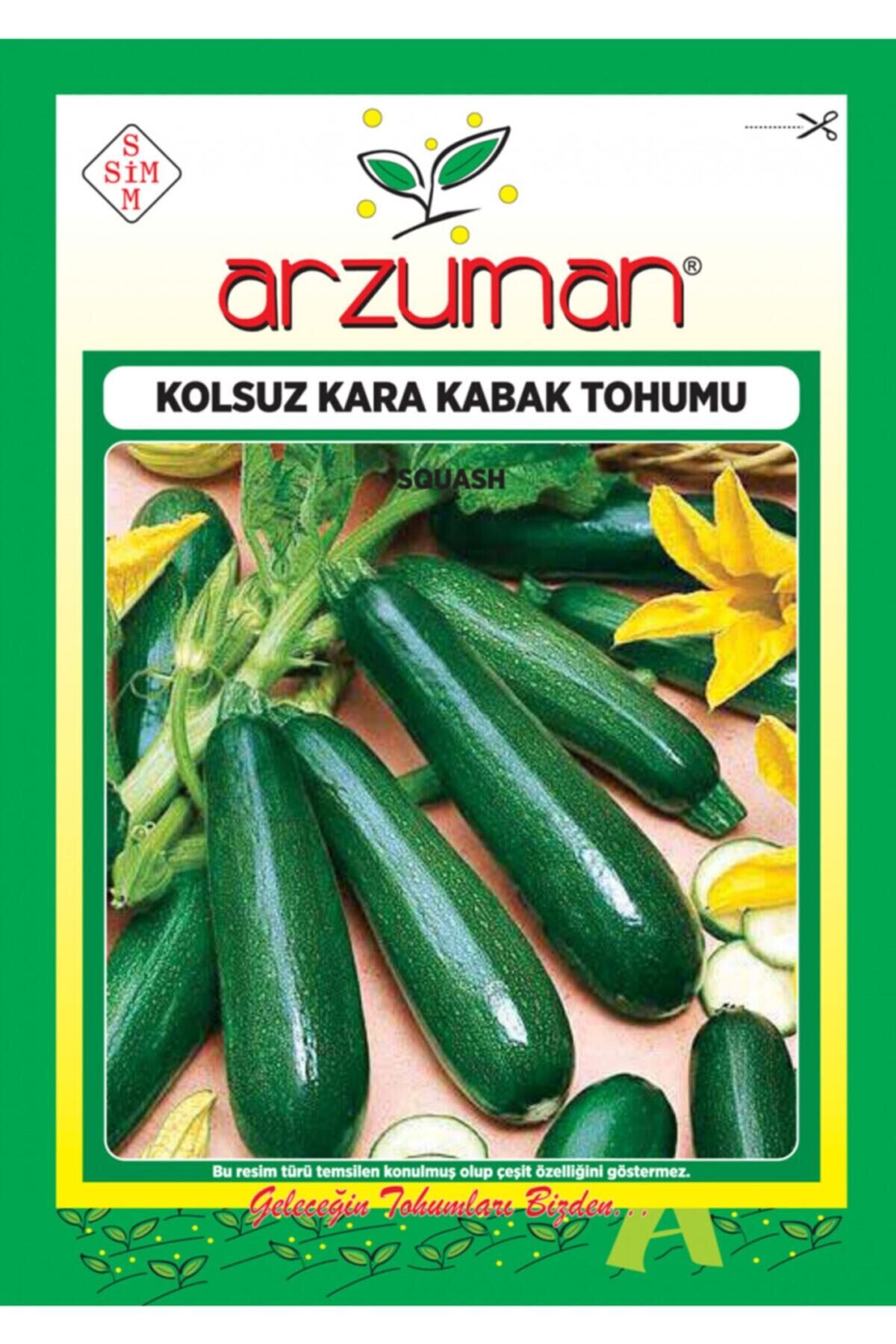 Karahasanoğlu Tarım Kolsuz Kara Kabak Tohumu 10 Gr Ort 75 Ad Tohum