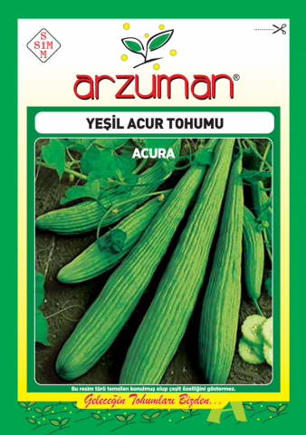 YEŞİL ACUR TOHUMU 10 GR ORT 300 AD TOHUM