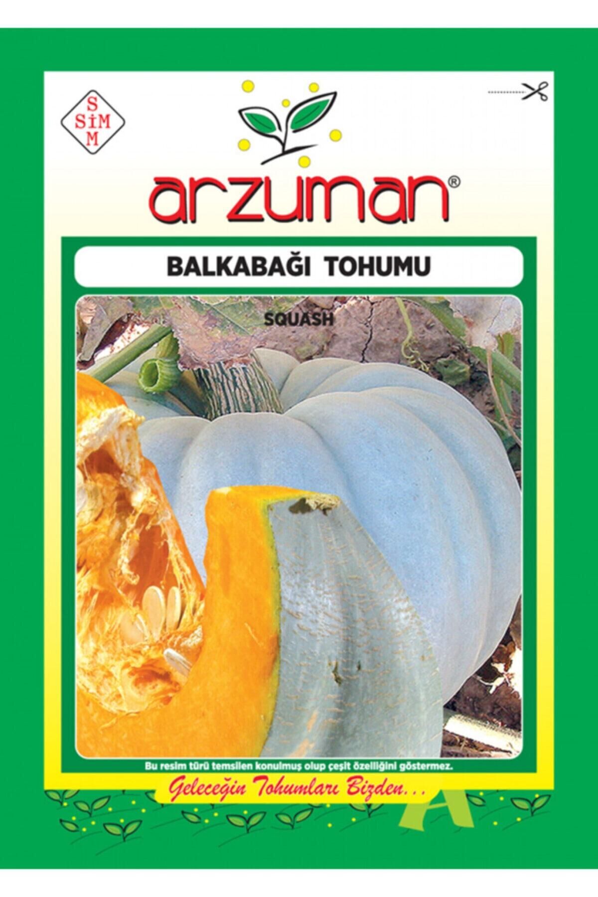 Karahasanoğlu Tarım Bal Kabağı Tohumu 10 Gr Ort 25 Ad Tohum