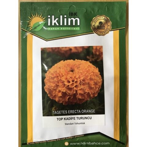 Turuncu Top Kadife Çiçek Tohumu (Takribi 50 Adet Tohum)