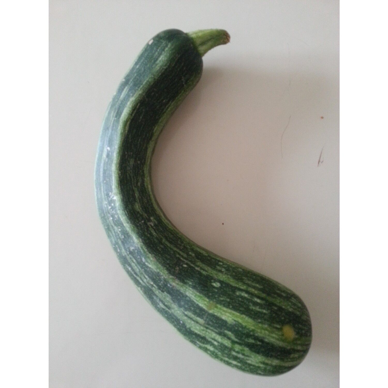 Yerli Çizgili Kızartmalık Kabak Tohumu 10 Gr 0rt 75 Ad Tohum