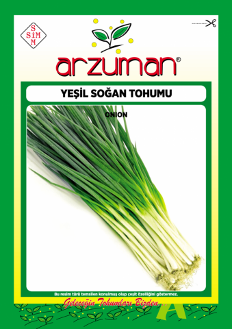 YEŞİL TAZE SOĞAN TOHUMU 10 GR ORT 2500 AD TOHUM