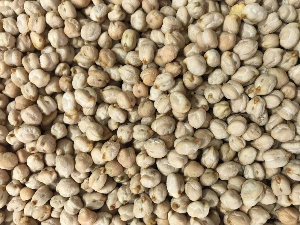 Yerli Nohut Tohumu 100 Gr