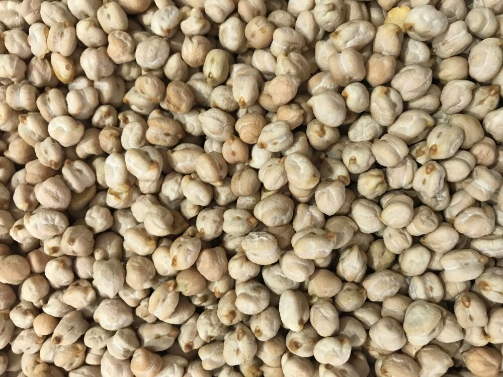 Yerli Nohut Tohumu 100 Gr
