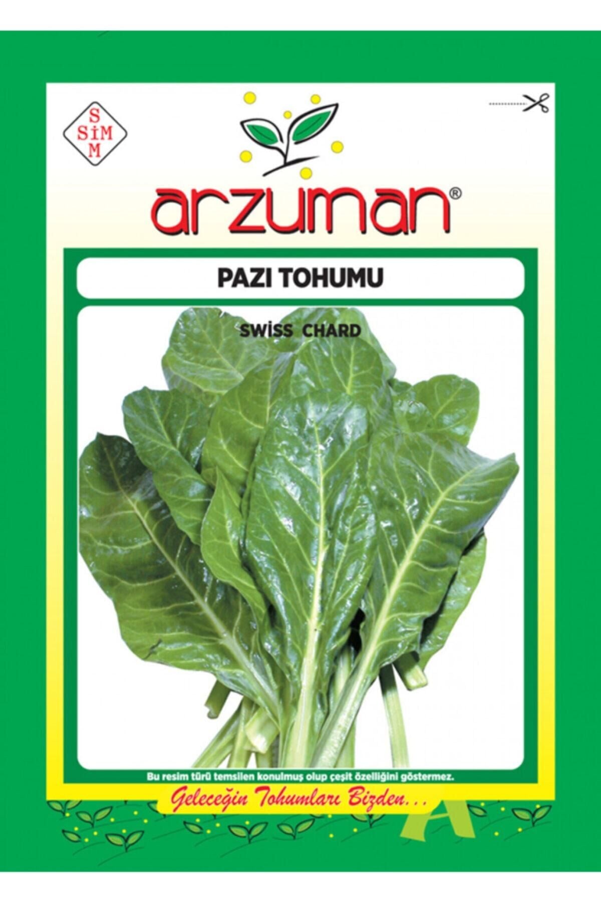 Karahasanoğlu Tarım Geniş Yaprak Pazı Tohumu 10 Gr Ort 300 Ad Tohum