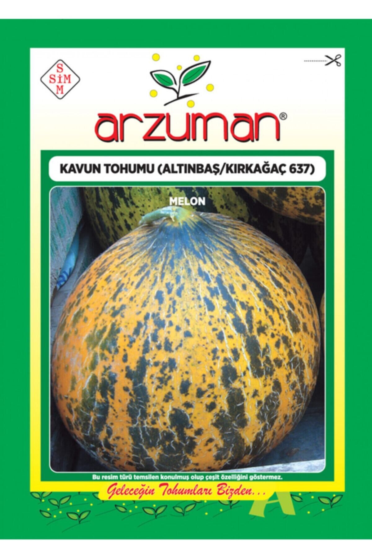Karahasanoğlu Tarım Kırkağaç 637 (altınbaş) Kavun Tohumu 10 Gr Ort 200 Ad Tohum