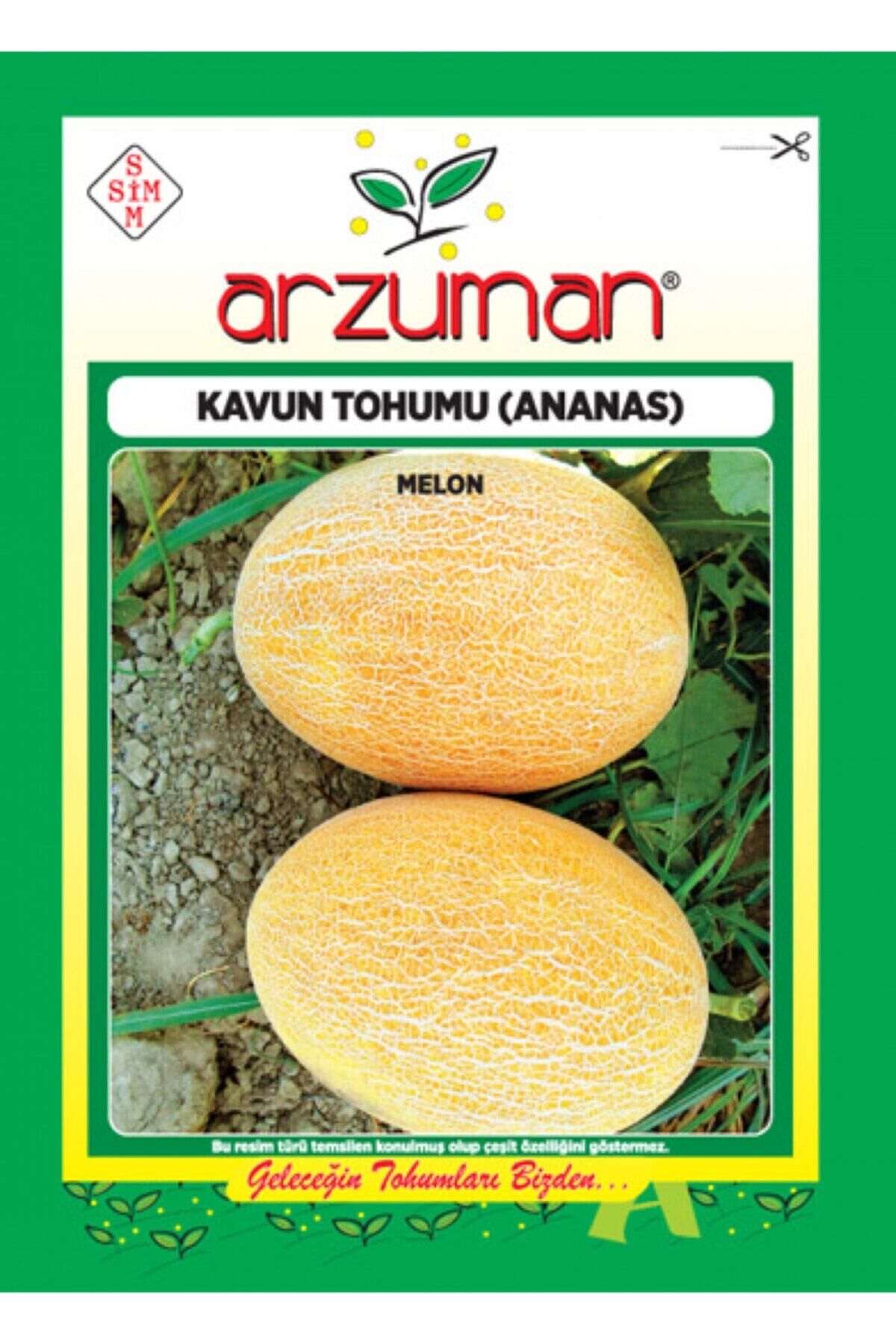 Karahasanoğlu Tarım Ananas Kavun Tohumu 10 Gr Ort 200 Ad Tohum