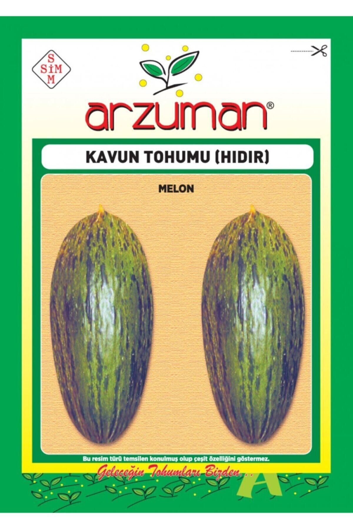 Karahasanoğlu Tarım Hıdır Kavun Tohumu 10 Gr Ort 200 Ad Tohum