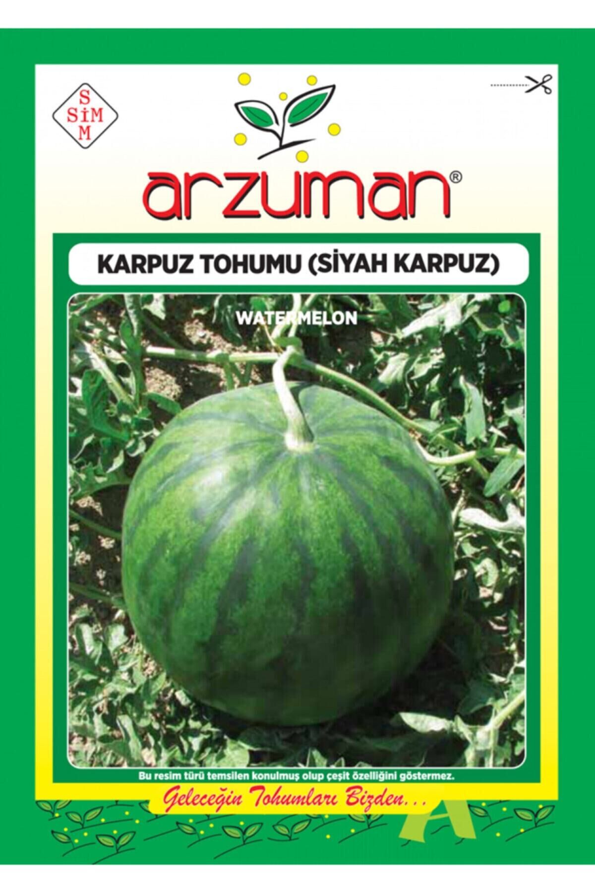 Karahasanoğlu Tarım Siyah Karpuz Tohumu 10 Gr Ort 100 Ad Tohum