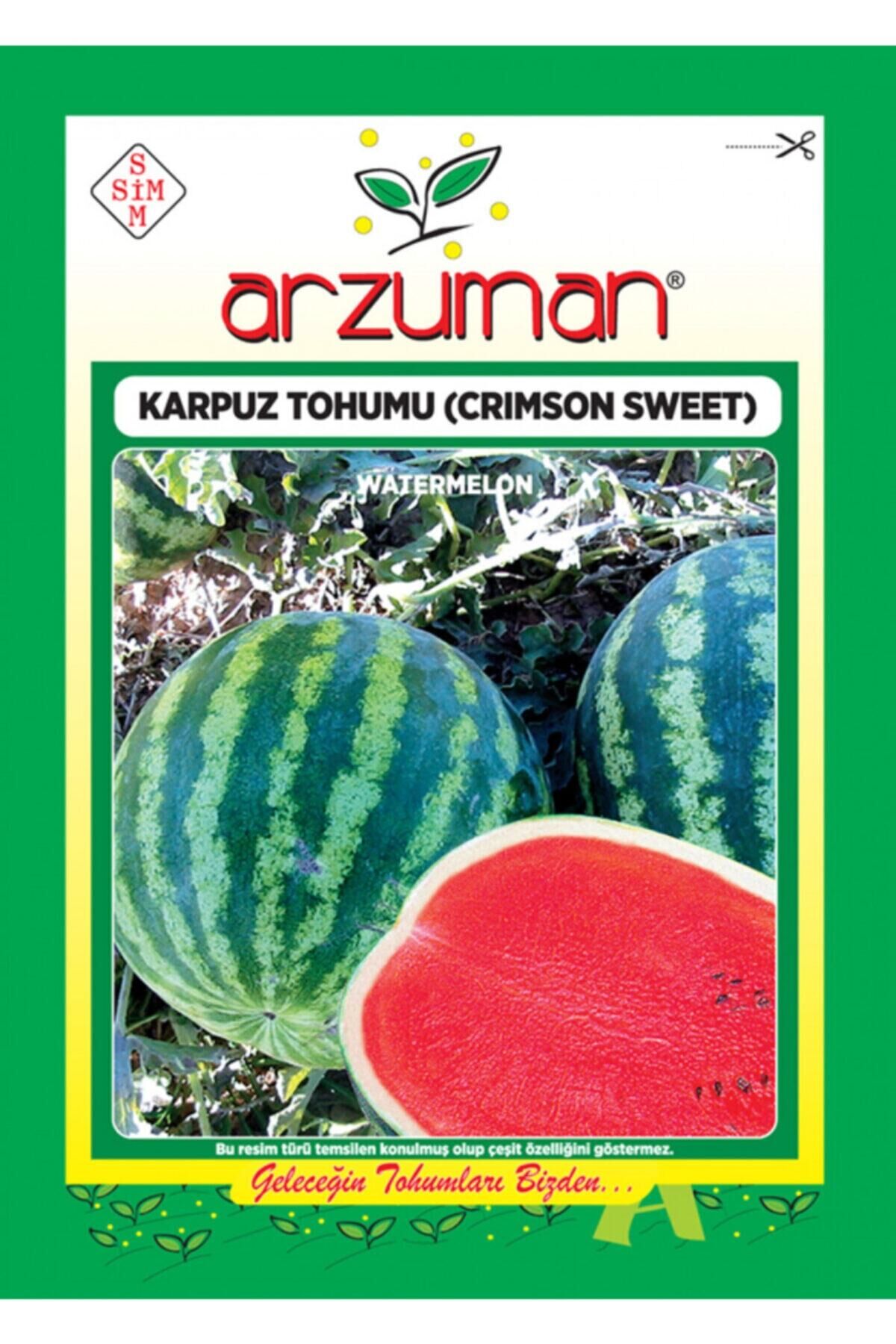 Karahasanoğlu Tarım Crımson Sweet Karpuz Tohumu 10 Gr Ort 100 Ad Tohum