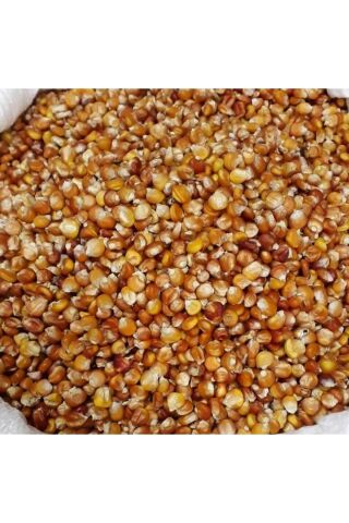 Karahasanoğlu Tarım Yerli Kırmızı Tane Mısır Tohumu 50 Gr