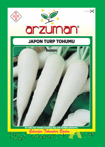 JAPON TURP TOHUMU 10 GR ORT 900 AD TOHUM