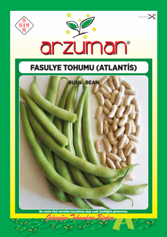 ATLANTİS KIRKGÜNLÜK OTURAK FASULYE TOHUMU 50 GR