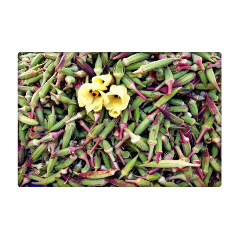 Bamya Tohumu (25 gr) Kınalı Kırmızı Renk