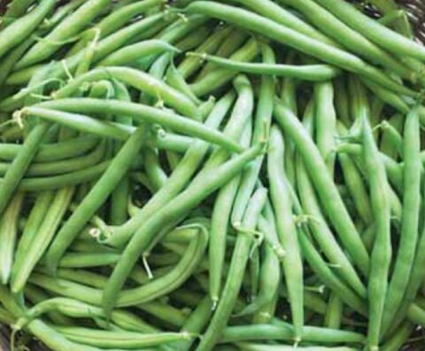 YERLİ GÜZLÜK OTURAK FASULYE TOHUMU 100 GR