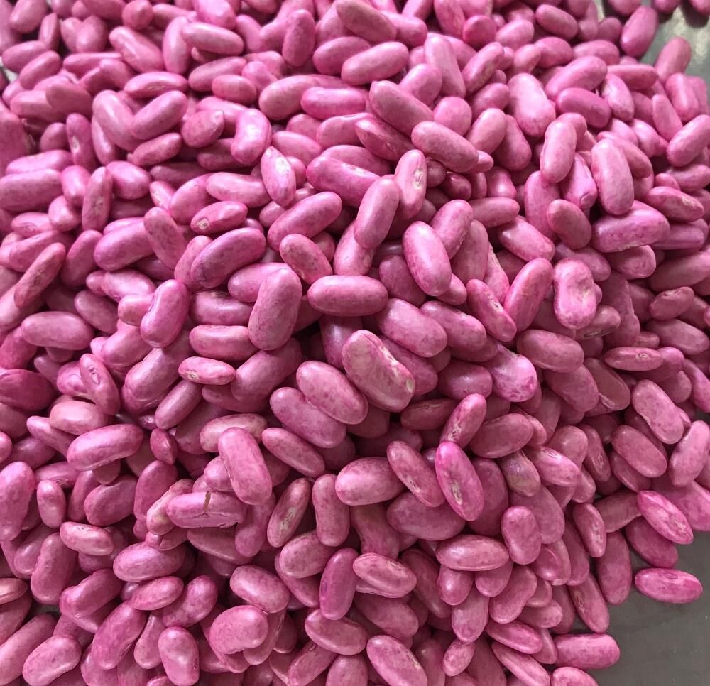 ALMAN AYŞE SIRIK FASULYE TOHUMU 100 GR (İLAÇLI)