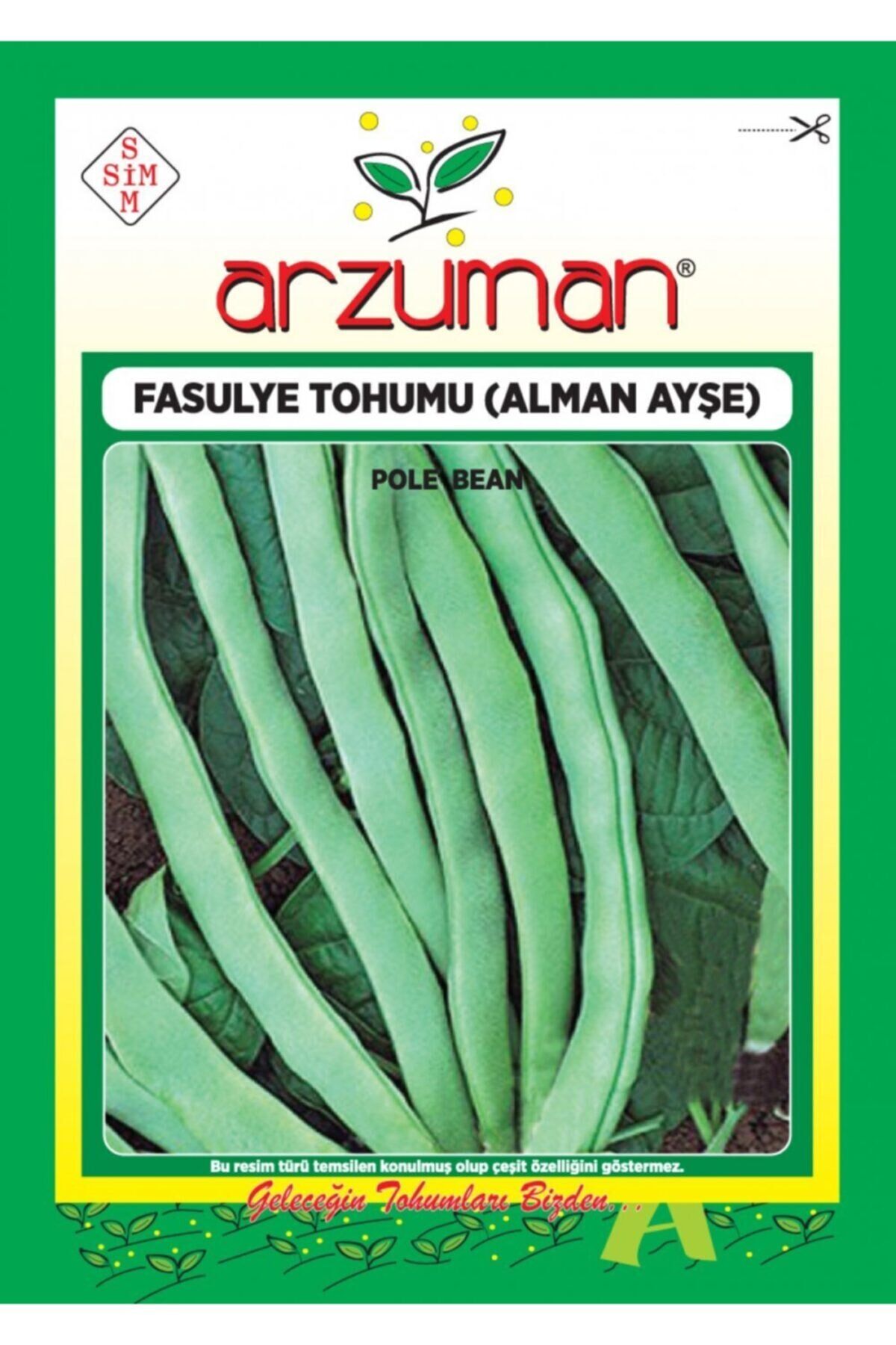 Karahasanoğlu Tarım Alman Ayşe Sırık Fasulye Tohumu 50 Gr