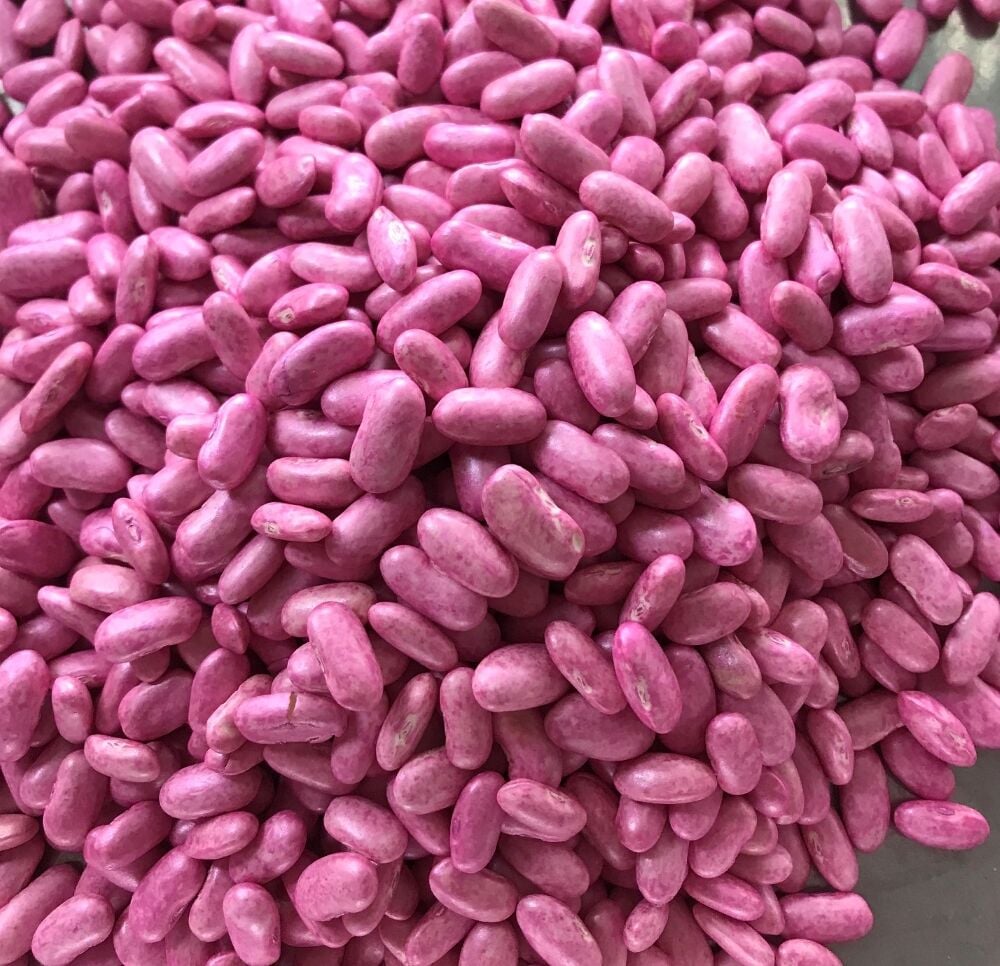 ALMAN AYŞE SIRIK FASULYE TOHUMU 100 GR (İLAÇLI)