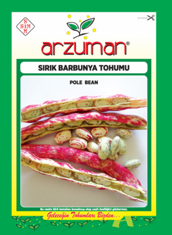 SIRIK BARBUNYA TOHUMU 50 GR