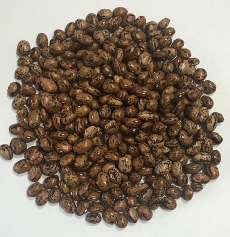 Yerli Ata Tohumu Sırık Uzun-Enli Erken Turşuluk Fasulye 25 Gr (Alacalı)