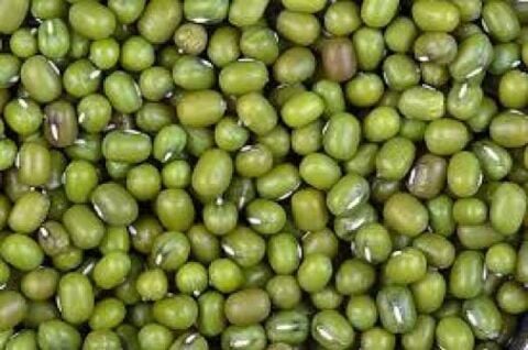 YERLİ MAŞ FASULYESİ TOHUMU  500 GR