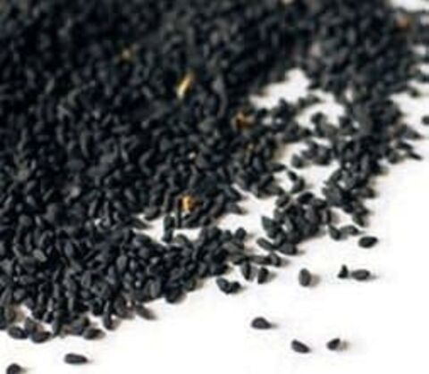 YERLİ ÇÖREKOTU TOHUMU 25 GR ORT 7500 AD TOHUM