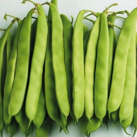 Yerli Ata Tohumu Sırık Ayşe Kadın Erken Fasulye 25 Gr (Siyah-Beyaz Tohum)