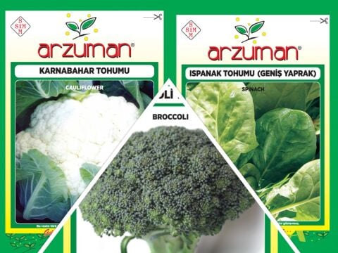 KARNABAHAR-BROKOLİ-ISPANAK 3'LÜ TOHUM SETİ
