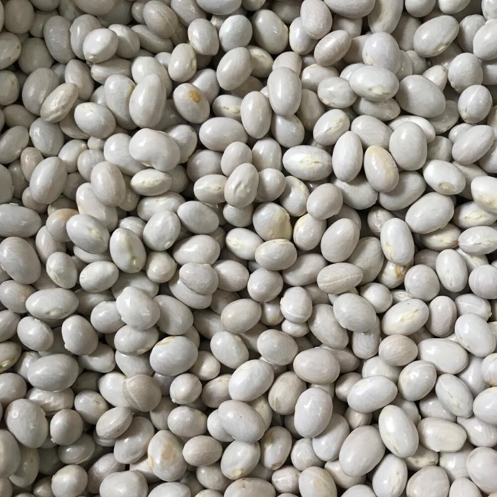 Yerli Ata Tohumu Oturak Şeker Fasulyesi 25 Gr