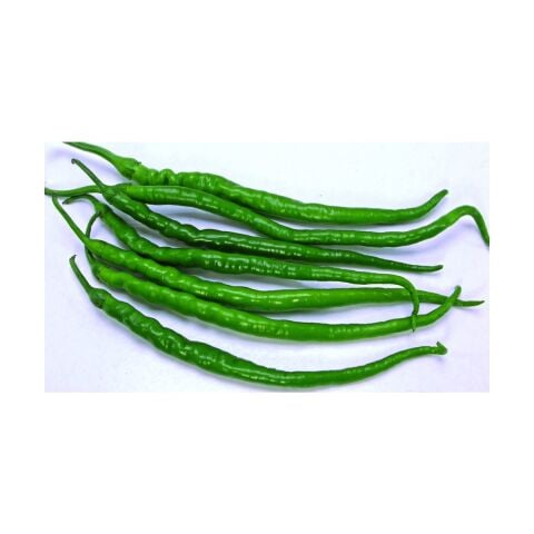 Acı Kıl Biber 10 Gram