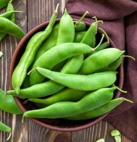 Yerli Ata Tohumu Bombay Sırık Fasulyesi 25 Gr