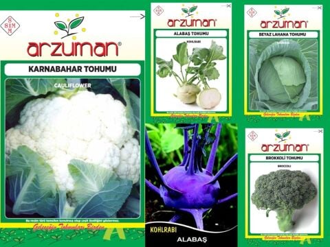 MOR ALABAŞ-BEYAZ ALABAŞ-KARNABAHAR-BROKOLİ-BEYAZ LAHANA 5'Lİ TOHUM SETİ