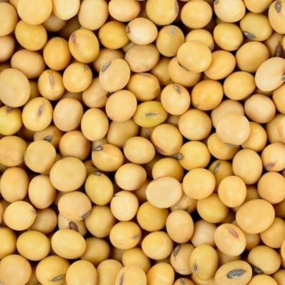 Yerli Ata Tohumu Soya Fasulyesi 25 Gr