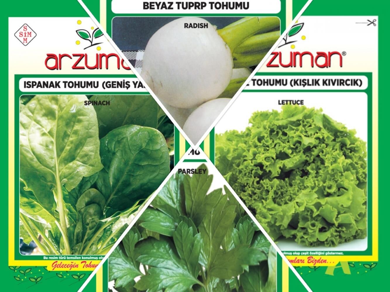 ISPANAK -BEYAZ TURP-KIŞLIK KIVIRCIK MARUL-MAYDANOZ 4'LÜ TOHUM SETİ