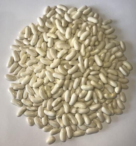 Yerli Ata Tohumu Oturak Horoz Fasulyesi 25 Gr