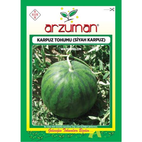 Siyah Karpuz Tohumu (10 Gr) Y.washington 26