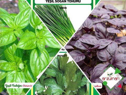YEŞİL TAZE SOĞAN-MOR REYHAN-YEŞİL REYHAN-MAYDANOZ 4'LÜ TOHUM SETİ