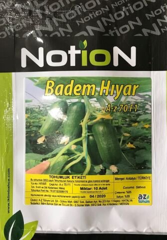 SALATALIK TOHUMU F1 MİNİ BADEM  - 10 Adet Tohumluk