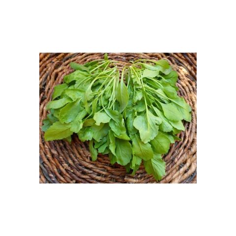 Tere Tohumu (25 Gr) Arzuman