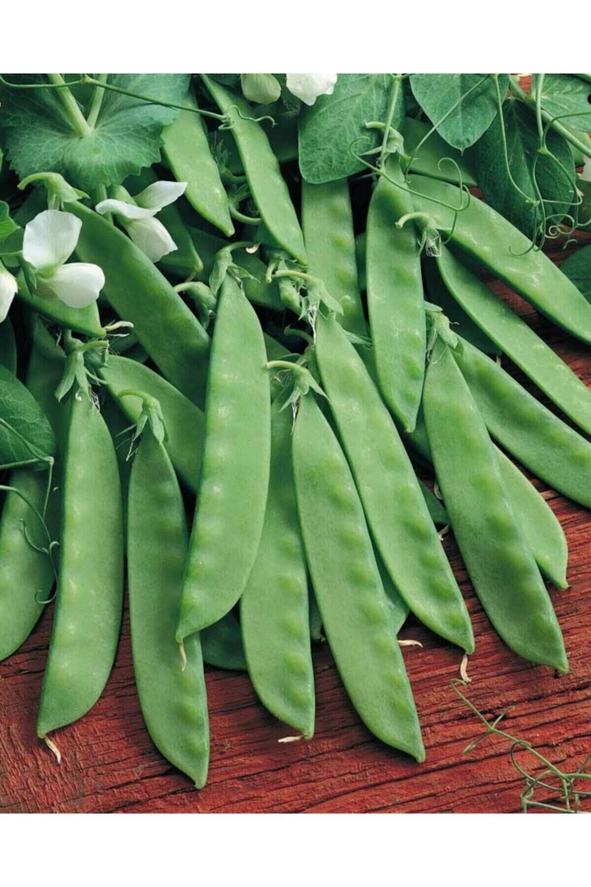 Karahasanoğlu Tarım Yerli Yaprak Bezelye Tohumu 50 Gr (takribi 150 Tohum)