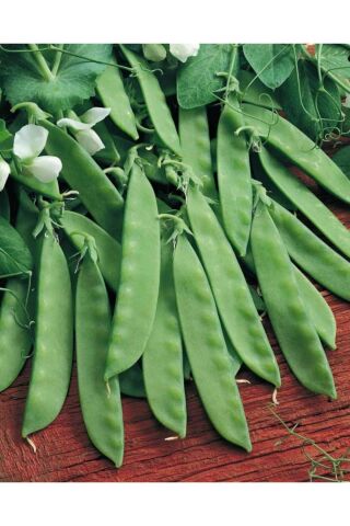 Karahasanoğlu Tarım Yerli Yaprak Bezelye Tohumu 50 Gr (takribi 150 Tohum)