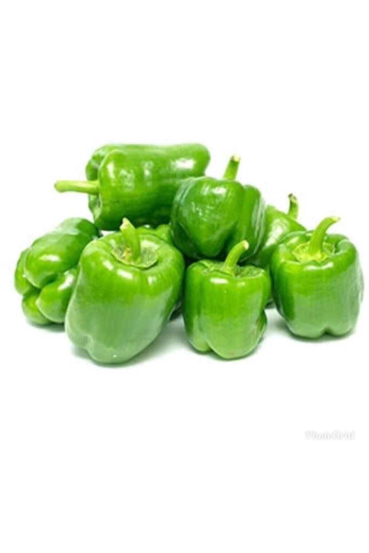 Karahasanoğlu Tarım Yerli Dolma Biber Tohumu 10 Gr (ort 1200 Ad)