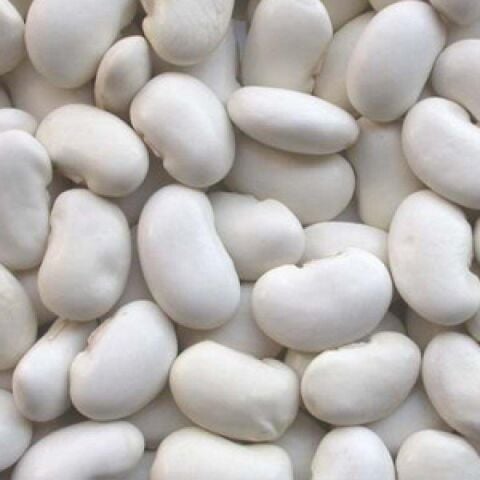 YERLİ BOMBAY İRİ TANE BEYAZ SIRIK FASULYE TOHUMU 500 GR