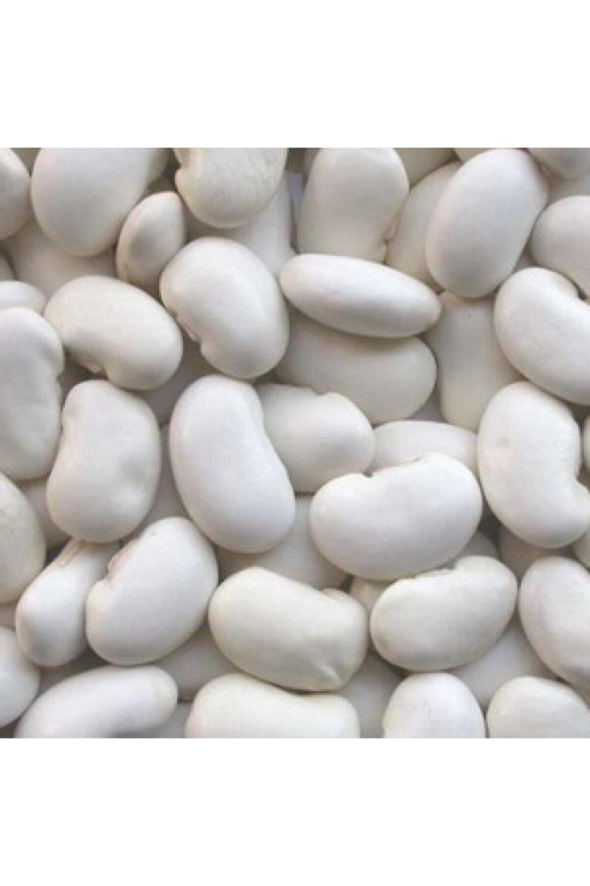 Karahasanoğlu Tarım Yerli Bombay Iri Tane Beyaz Sırık Fasulye Tohumu 500 Gr